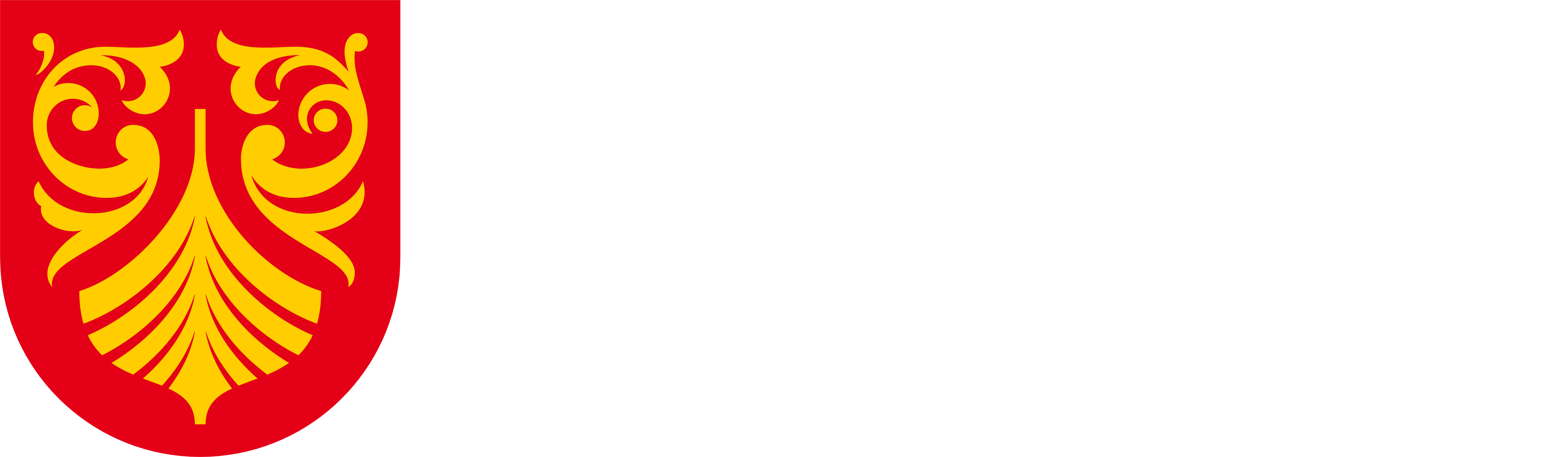 Skien VGS Logo